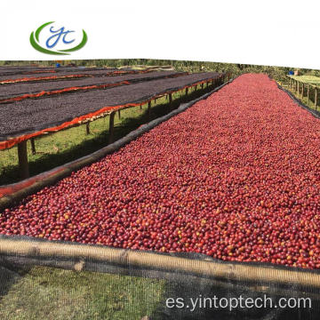 Tela de sombra para la cama de secado de granos de café